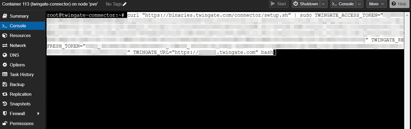 Paste the Linux deployment command from the Twingate console into your container