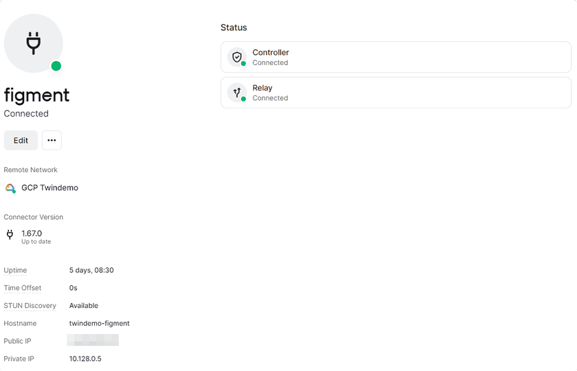 Connector successfully deployed and connected to Twingate