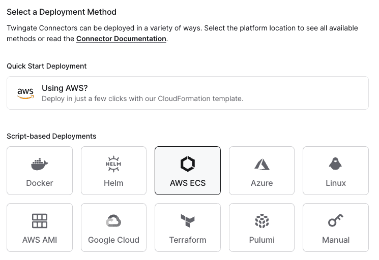 Choosing the ECS Option